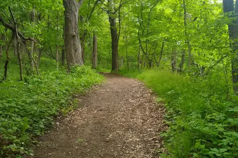 West - Hartford Beach State Park