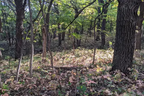 West - Hartford Beach State Park