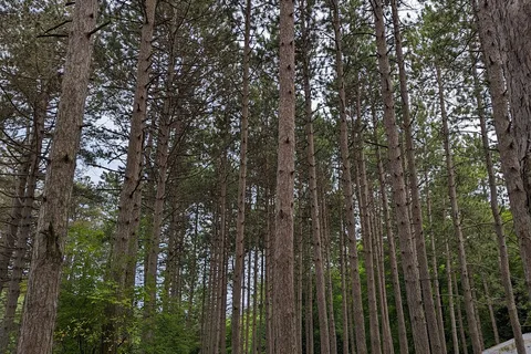 Sauble Falls Provincial Park