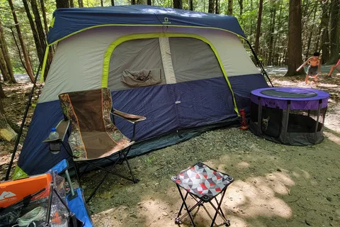 DAR State Forest