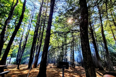 DAR State Forest