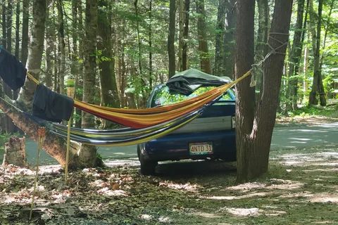 DAR State Forest