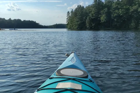 DAR State Forest