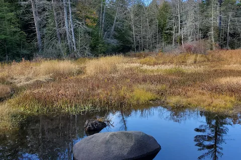 DAR State Forest