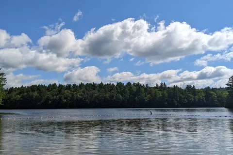 DAR State Forest