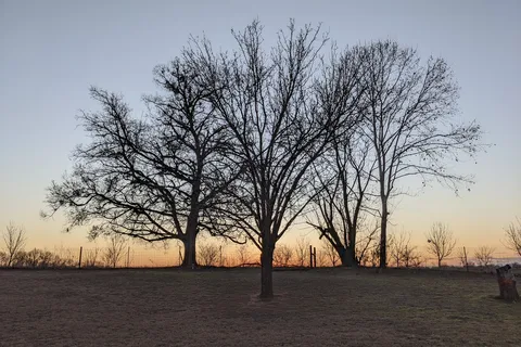 Riverview Campground