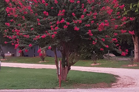 Riverview Campground