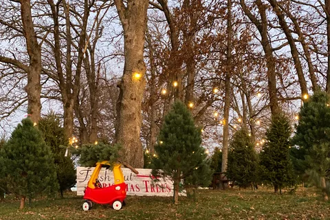 Ozark Farms Family Campground and RV Park