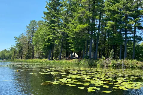 Pilgrims Rest