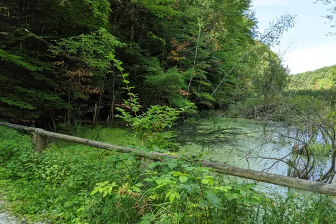 Stony Haven Campground and Cabins