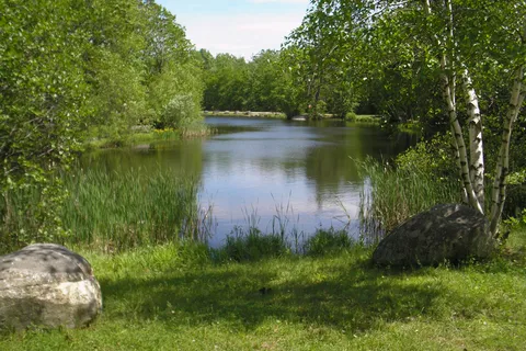 Prospect Mountain Campground and RV Park
