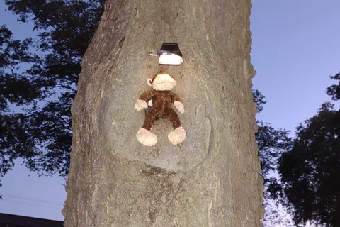 South Park Municipal Campground