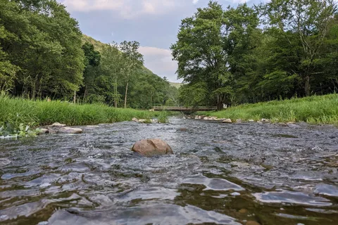 Stony Fork Creek Campground
