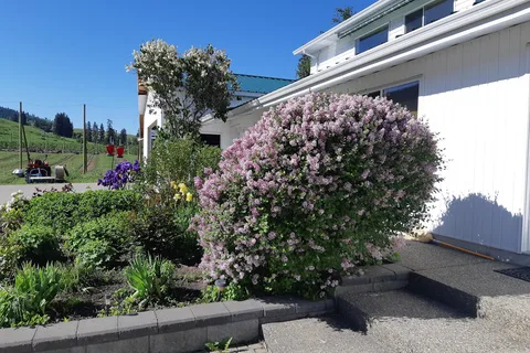 The Orchard RV Retreat