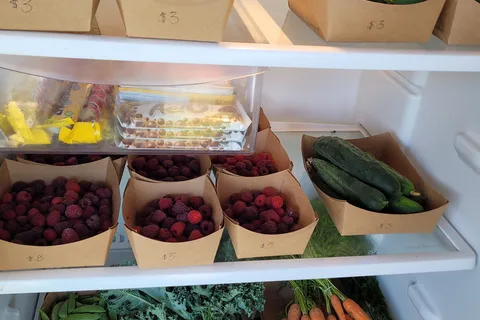 The Orchard RV Retreat