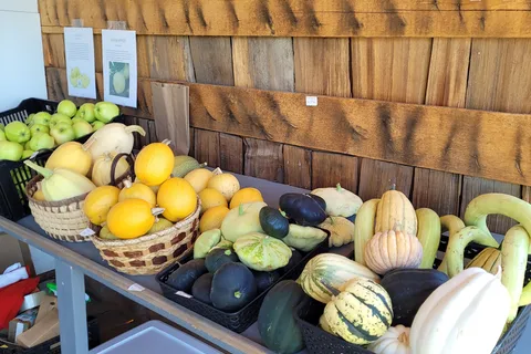 The Orchard RV Retreat