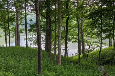 White Oak - Ramsey Lake State Recreation Area