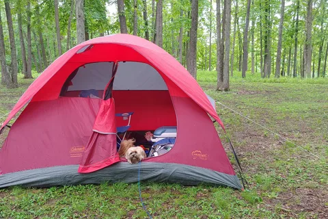 White Oak - Ramsey Lake State Recreation Area