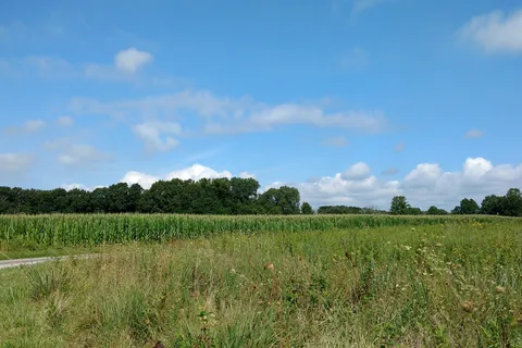 White Oak - Ramsey Lake State Recreation Area