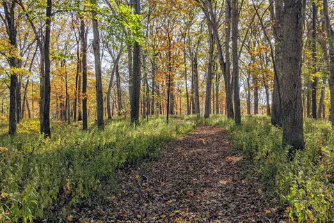 White Oak - Ramsey Lake State Recreation Area