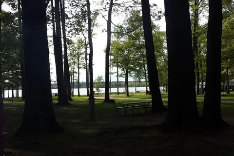 Timber Surf Camping Resort