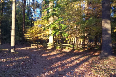 Timber Surf Camping Resort