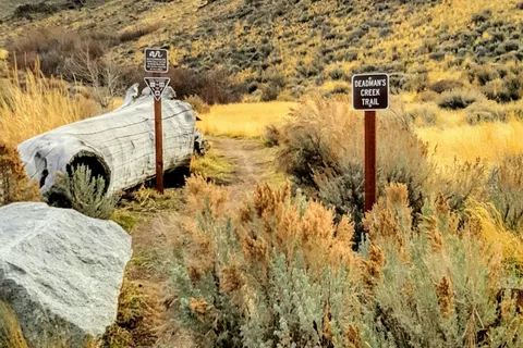 Washoe Lake State Park