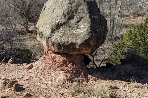 Sagebrush - Palo Duro Canyon State Park