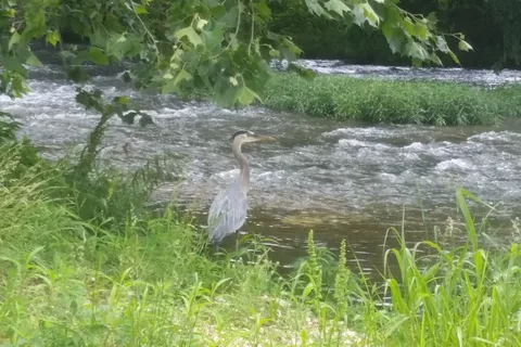 The Creeks Golf and RV Resort