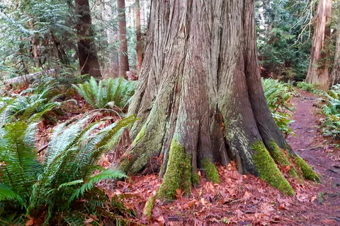 Fillongley Provincial Park