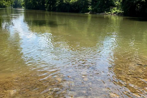 Shoal Creek Canoe Run