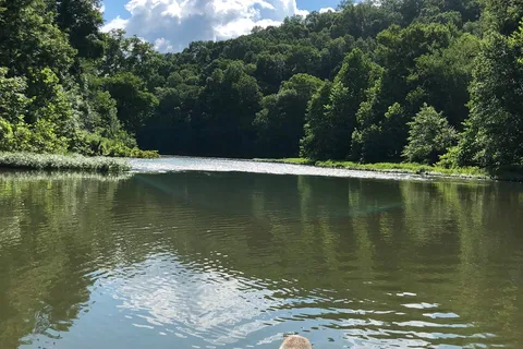 Shoal Creek Canoe Run
