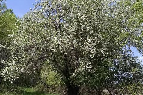 Twin Springs Resort Campground