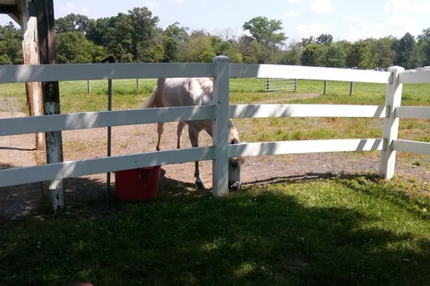 Oak Grove Park and Sales