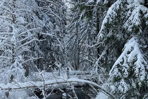 McClellan Meadows Sno-Park - Department of Natural Resources