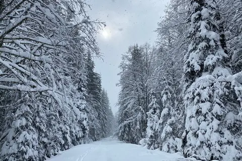 McClellan Meadows Sno-Park - Department of Natural Resources
