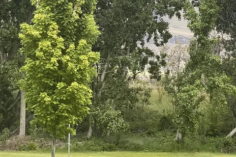 Deschutes River State Recreation Area Campground