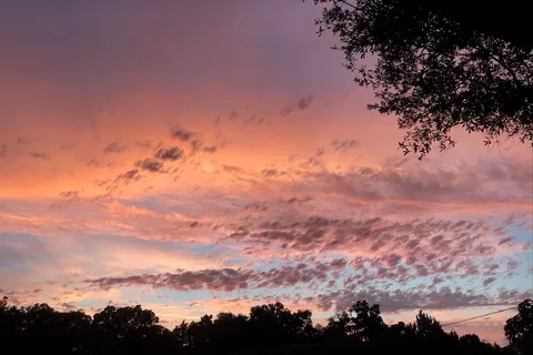 Pinecrest Mobile Home Park