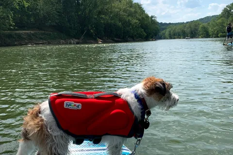 Kentucky River Campground and RV Park