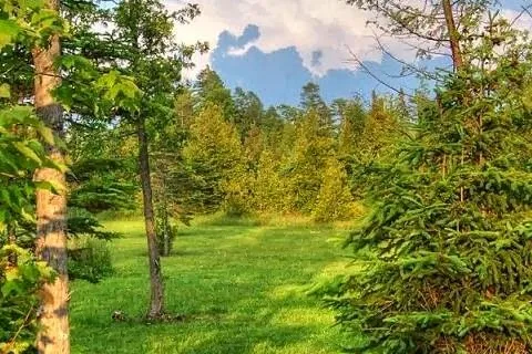 Mackinaw Mill Creek Camping