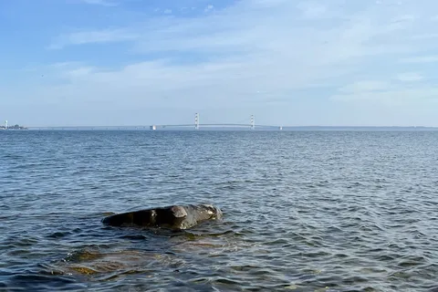 Mackinaw Mill Creek Camping