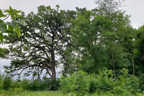Fox River Recreation