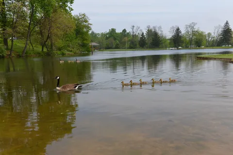 Hershey RV and Camping Resort