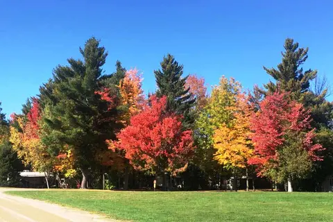 Blue Haven Campground and Resort