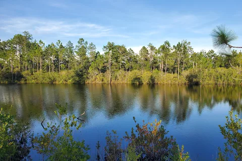 Pine Lake RV Park
