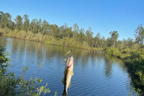 Pine Lake RV Park