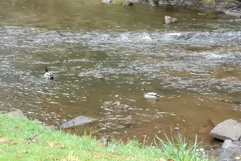 Down By The River Campground