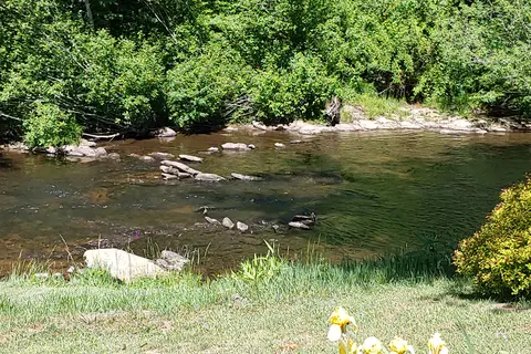 Down By The River Campground