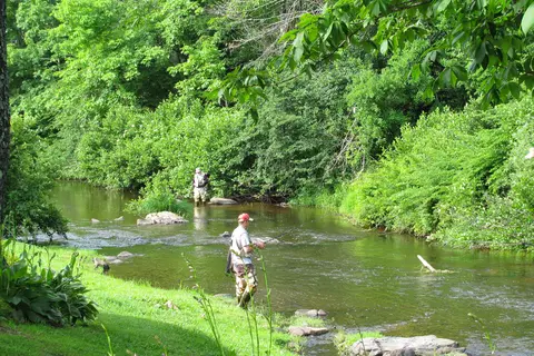 Down By The River Campground