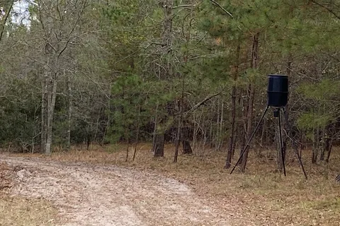 Hidden Forest RV Club